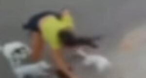 Mulher fica ferida após ser empurrada por dono de pit-bull que atacou seus cães no Ceará