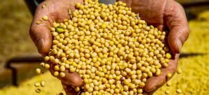 Tocantins supera US$ 3 bilhões em exportações em 2025 e assume 3º lugar no Norte