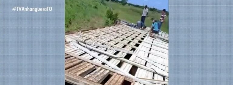 Caminhão com 86 cabeças de gado tomba na TO-222; seis animais morrem