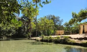 Praia do Puçá adota regras rígidas para proteger o “Caribe do Cerrado” em Lavandeira (TO)