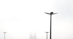 Brasília desperta sob forte névoa e segue em alerta para chuvas intensas