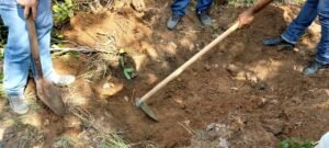 Acusado de matar ex-companheira e ocultar corpo será julgado pelo Tribunal do Júri no Tocantins