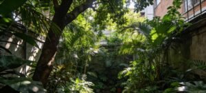 Colecionadores recorrem a microclimas para cultivar plantas tropicais raras em quintais pequenos