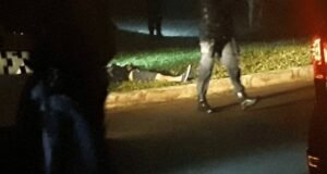 Réu por triplo homicídio após briga em prostíbulo vai a júri no DF