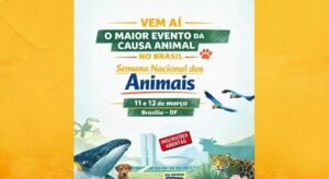 Palmas organiza presença na Semana Nacional dos Animais em encontro on-line nesta quinta-feira, 5
