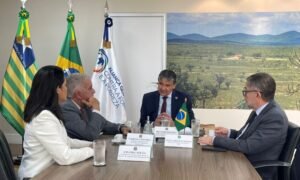 Carlos Amastha exalta criação da Secretaria do Matopiba durante reunião com ministro Wellington Dias