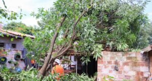 Governo do Tocantins destina R$ 350 mil a 200 famílias afetadas por vendaval no Jardim Taquari