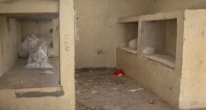 Policiais penais impedem tentativa de motim de detentas trans na Colmeia