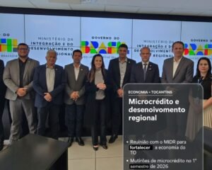 Dorinha negocia com Ministério da Integração mutirões de microcrédito e novas rotas produtivas para o Tocantins