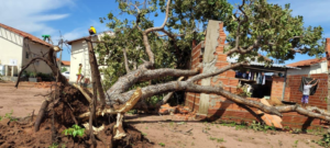 Recurso estadual garante auxílio de R$ 1.750 a 200 famílias afetadas por vendaval em Palmas