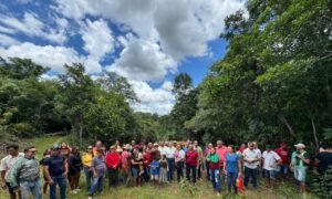 Moradores se mobilizam para reativar balsa no Rio Perdido entre Rio Sono e Centenário