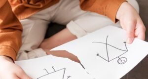 Defensoria do Tocantins orienta pais sobre guarda compartilhada, plano de convivência e pensão judicial durante separação