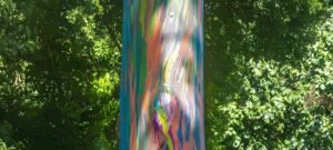 Eucalipto arco-íris impressiona com tronco multicolorido e enfrenta risco de extinção