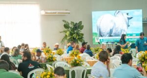 Gurupi recebe primeiro leilão presencial da Nelore OL no Tocantins e gira R$ 1,1 milhão