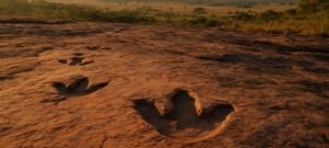 Pegadas de dinossauros de 210 milhões de anos são encontradas em penhasco quase vertical nos Alpes italianos