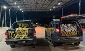 PRF intercepta caminhão com quase 700 kg de drogas e prende motorista na BR-153, em Araguaína