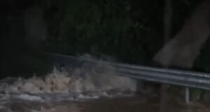 Temporal provoca deslizamentos em Ubatuba e deixa litoral paulista em alerta extremo