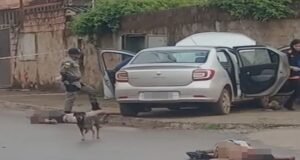 Dois homens são mortos a tiros em via pública no Novo Gama (GO)