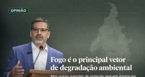 Incêndios ilegais avançam 1,58 milhão de hectares e se tornam maior foco ambiental no Tocantins