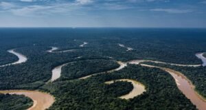 MPF investiga ataque a indígena amarrado e abandonado em rio no Vale do Javari