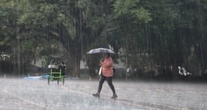 Chuva marca início da semana em São Paulo, com temperaturas entre 17 °C e 24 °C