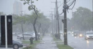 Semana em Palmas deve ser marcada por chuva diária e calor acima dos 30 °C