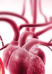 Pesquisa aponta que envelhecimento humano se acelera aos 44 e aos 60 anos