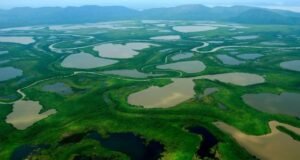 Lula amplia áreas protegidas no Pantanal e cria reserva no Cerrado durante COP15 em Campo Grande