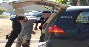 Justiça suspende processo e determina exame psiquiátrico de jovem acusado de esfaquear ex-namorado na Embrapa