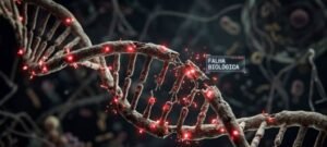 Experimento japonês de 20 anos mostra limite biológico para clonagem sucessiva de mamíferos