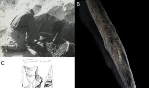 Análise de sítio alemão comprova caça coordenada de elefantes gigantes por neandertais